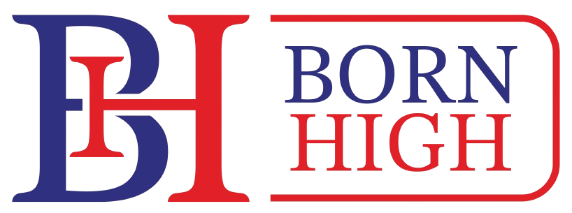 BORN HIGH LLC CO., LTD
